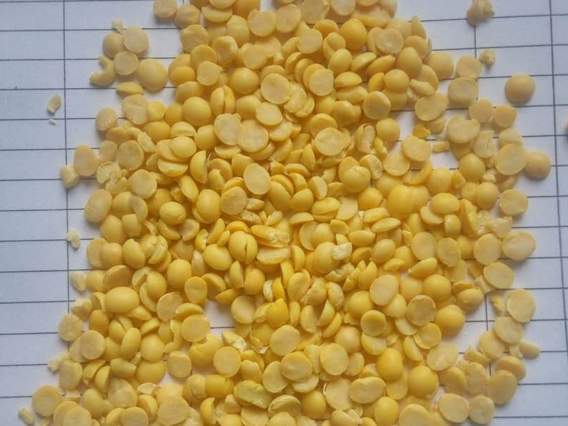 大豆低溫脫溶設備